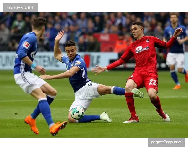 佩特科夫与基纳双星闪耀，艾禾斯堡德乙主场逼平汉诺威